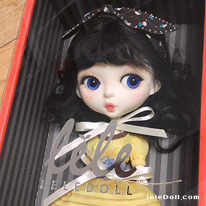 resin doll bjd leledoll leejaeyeon